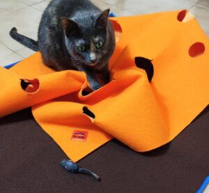 gatto nero che gioca con il tappeto sensoriale arancione