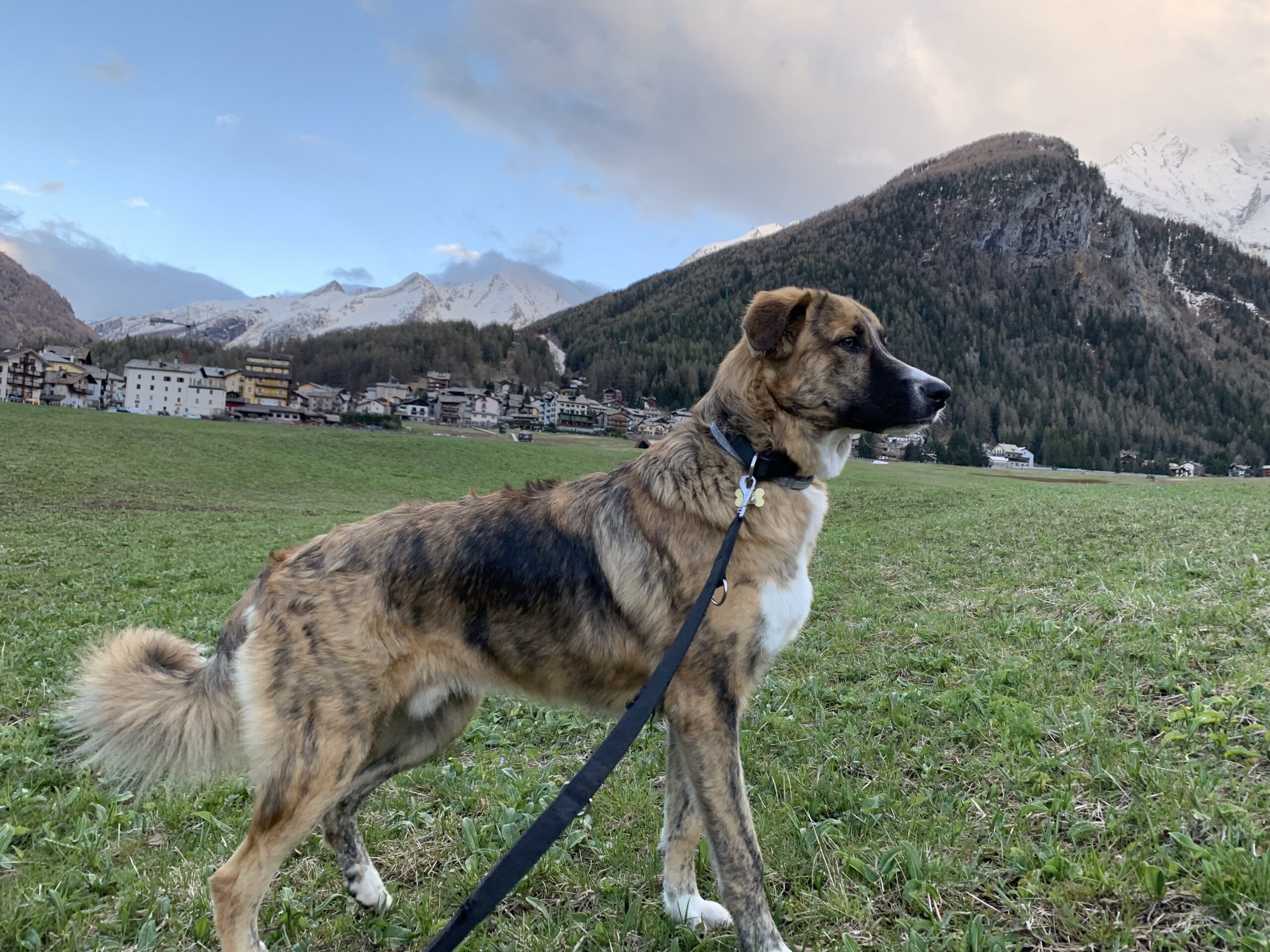 cicero in montagna